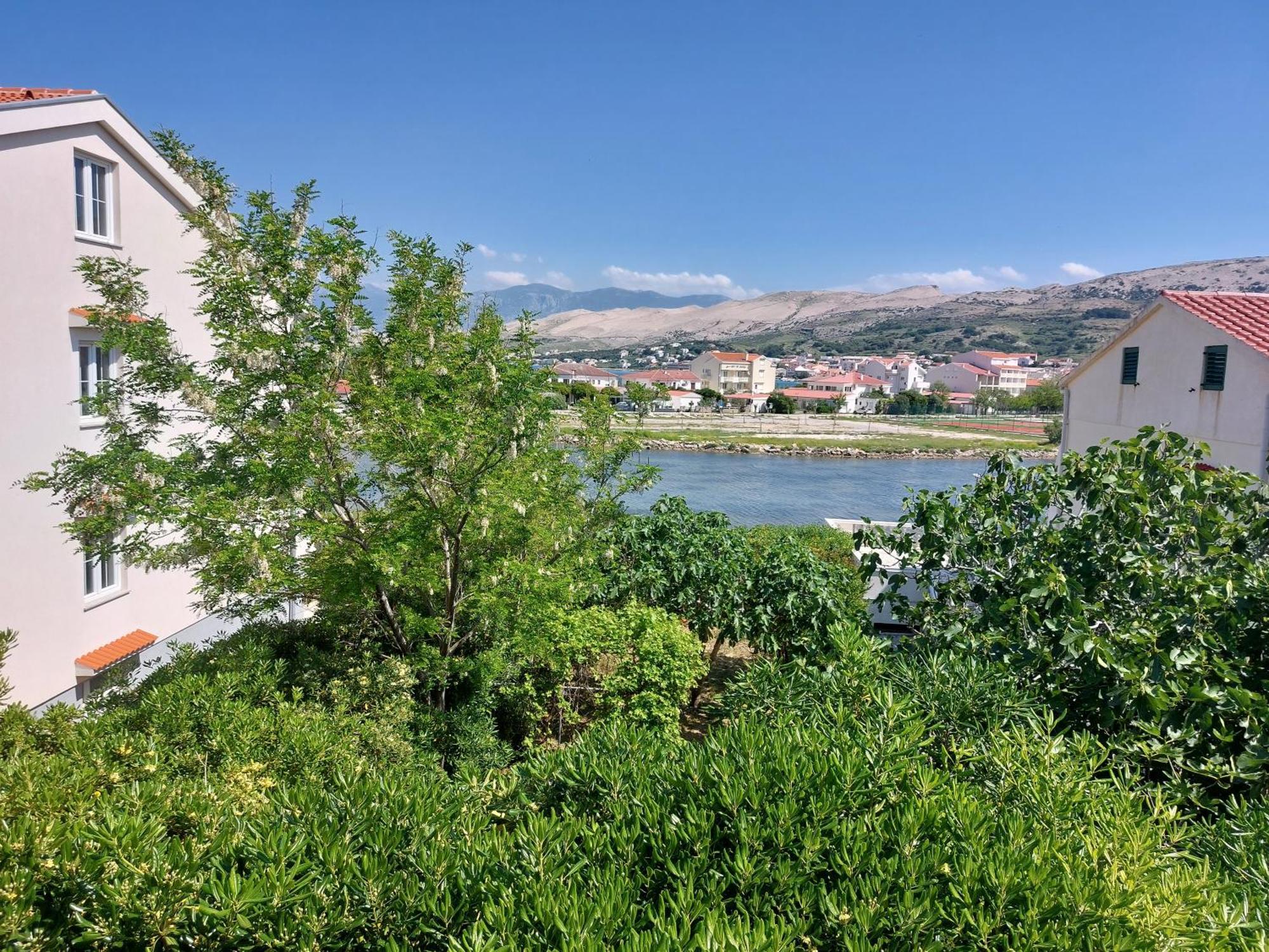 Apartmani Lavanda Pag Town Værelse billede